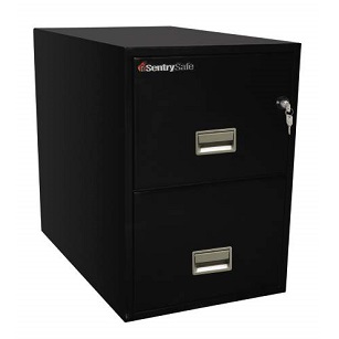 Sentry Safe Filing Cabinet 2G3131 - lackasafe