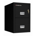 Sentry Safe Fire File 2T3120