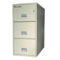 Sentry Safe Fire File 3G3100