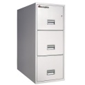 Sentry Safe Fire File 3T3100