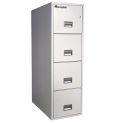 Sentry Safe Fire File 4T3100