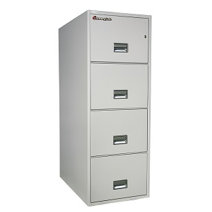 Sentry Safe Fire File 4G3110